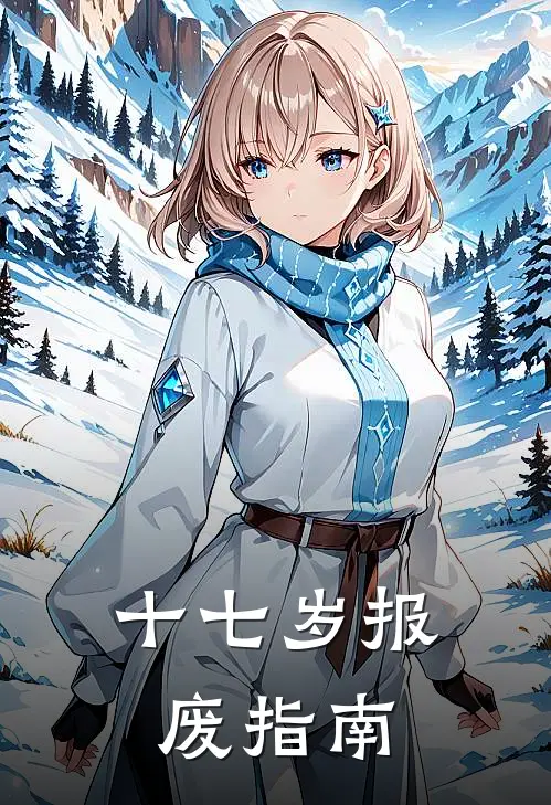 十七岁报废指南